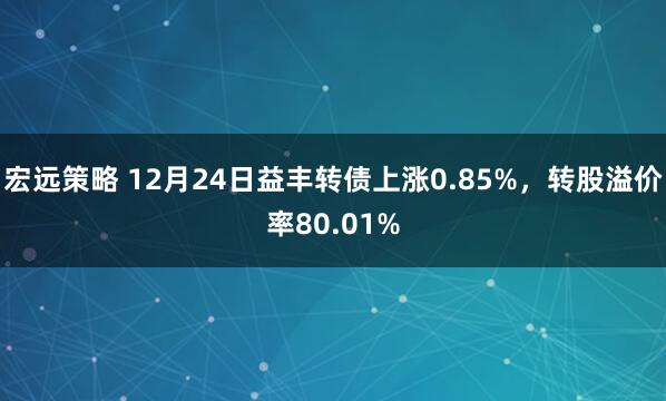 宏远策略 12月24日益丰转债上涨0.85%，转股溢价率80.01%